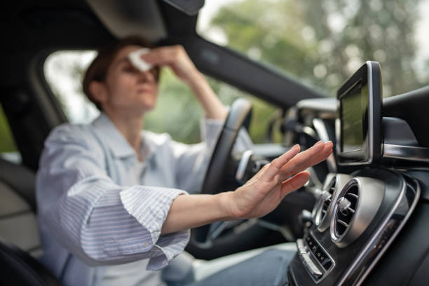 Best Central Air Repair  in Roscoe, IL